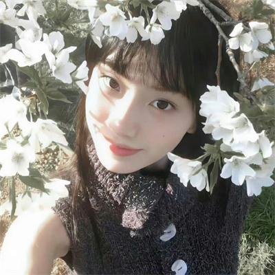 玫瑰楼迷影