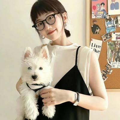 龙年档案